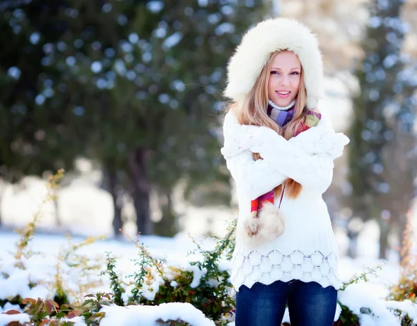 Chica en invierno parque —  Fotos de Stock
