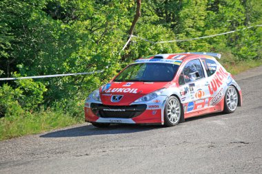 ralli