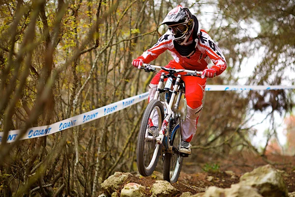 Stock image Mountain bike