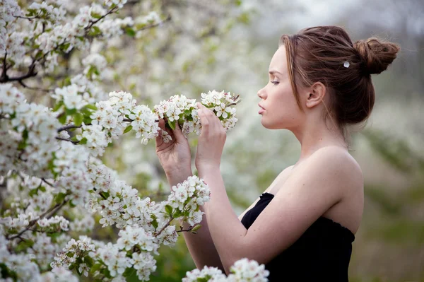 stock image Girl