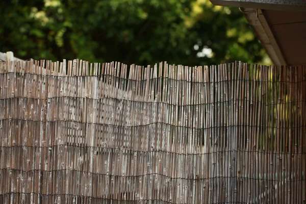 stock image Thin Bamboo Fence