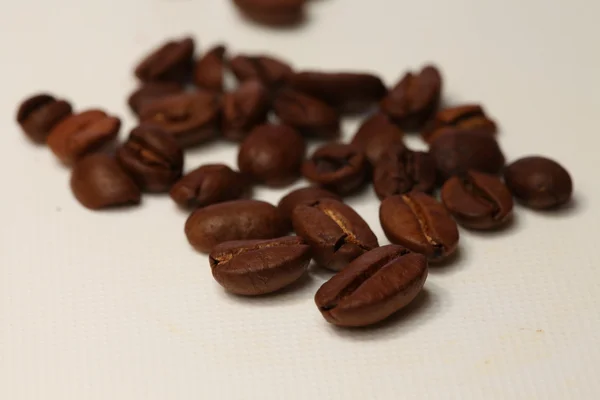 Grains de café niveau de rôti moyen — Photo