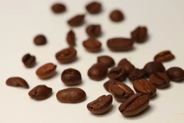 Granos de café Medio nivel de asado — Foto de Stock