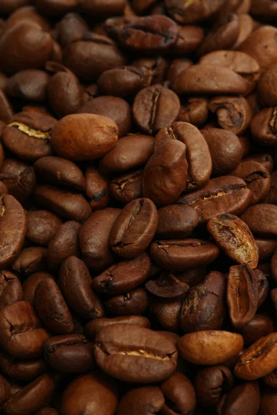 ถั่วกาแฟ ระดับปานกลาง ย่าง — ภาพถ่ายสต็อก