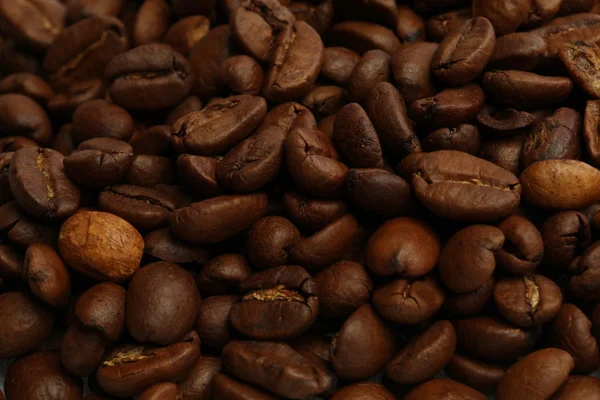Chicchi di caffè Medio livello arrosto — Foto Stock