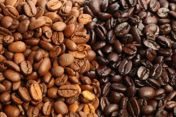 Coffee Beans Dark Roast and Medium Roast — Stock Photo, Image
