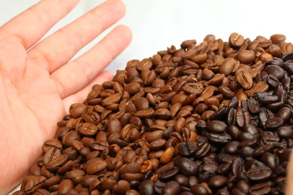 ถั่วกาแฟและมือมนุษย์ — ภาพถ่ายสต็อก