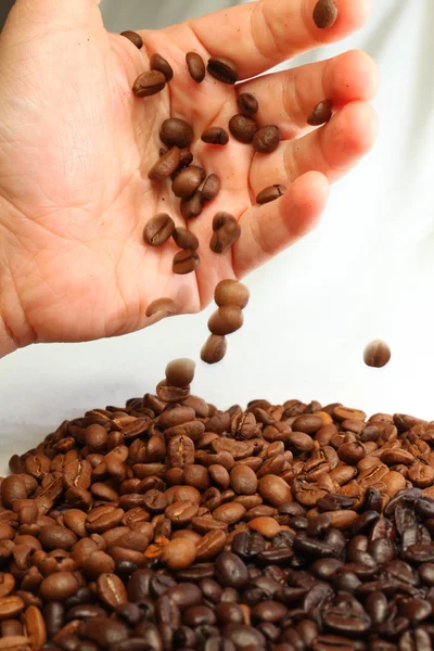 ถั่วกาแฟและมือมนุษย์ — ภาพถ่ายสต็อก