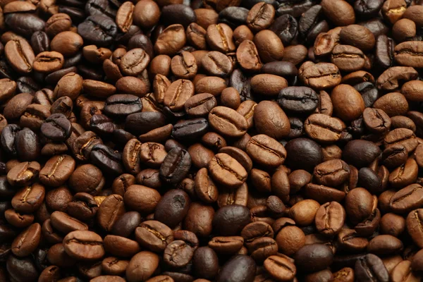 Chicchi di caffè Arrosto scuro e arrosto medio — Foto Stock
