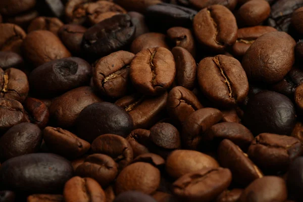Granos de café tostado oscuro y tostado medio — Foto de Stock