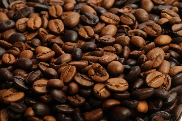 Chicchi di caffè Arrosto scuro e arrosto medio — Foto Stock