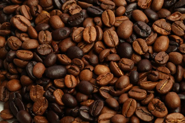 Koffiebonen donkere gebraden en middellange gebraad — Stockfoto