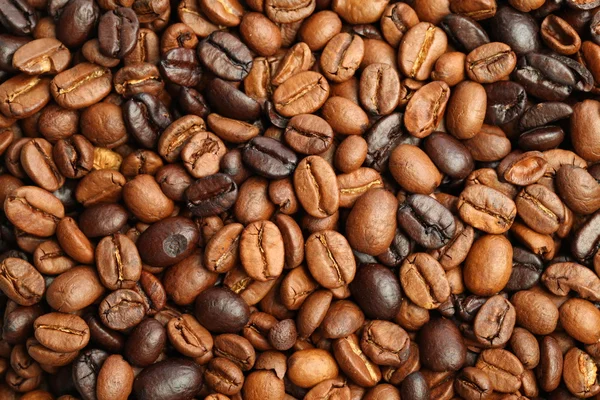 Granos de café tostado oscuro y tostado medio — Foto de Stock