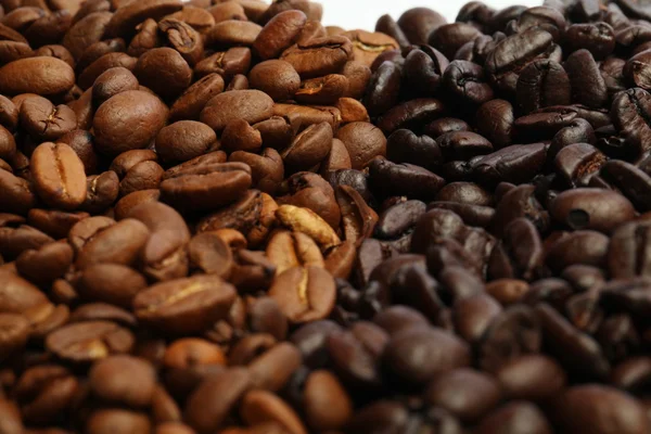 咖啡豆暗烤和中等烤 免版税图库照片