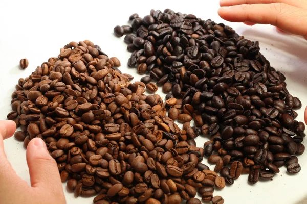 咖啡豆和人的手 免版税图库图片