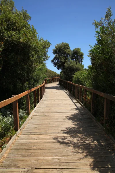 stock image Narrow Board Walk Pathway in the Beach