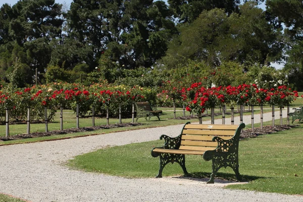 Сидячая скамейка в цветочном саду — стоковое фото