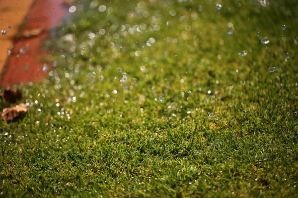 Splash op het groene gras — Stockfoto