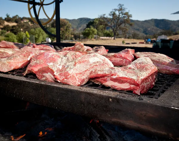 Barbecued Tri Tip — Stock Photo, Image