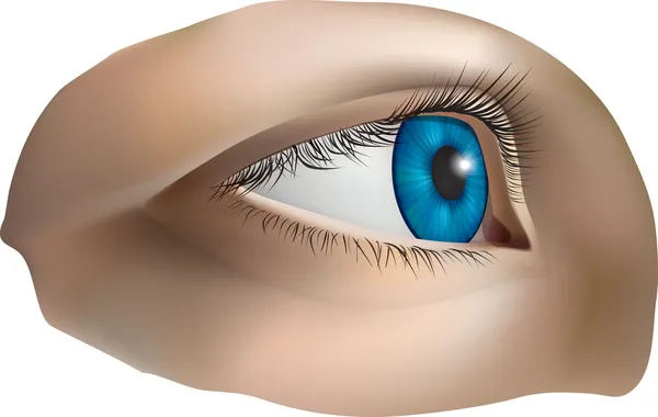 Occhio umano — Vettoriale Stock