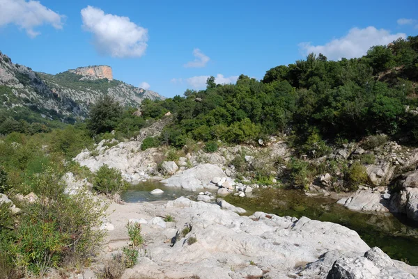 In the forest of sardinia — Stock Photo, Image