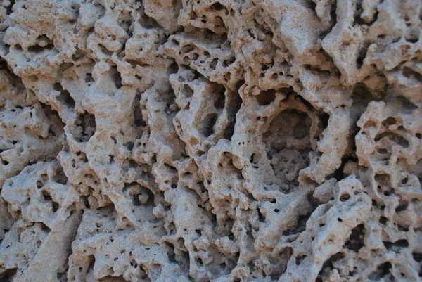 stock image Holes in a rock