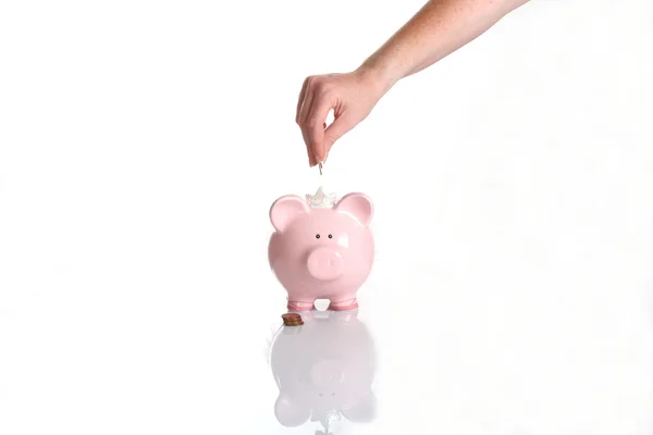 stock image Piggy bank