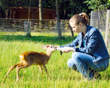 Beautiful girl feeds young deer clipart