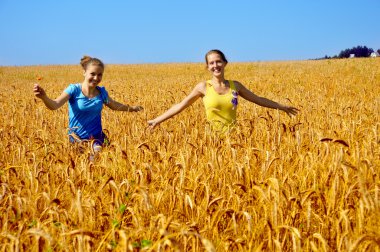 Two beautiful smiling girls walk through golden field
