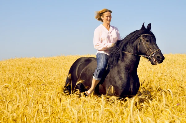 Mooie lachende vrouw rijdt een mooi paard in veld — Stockfoto