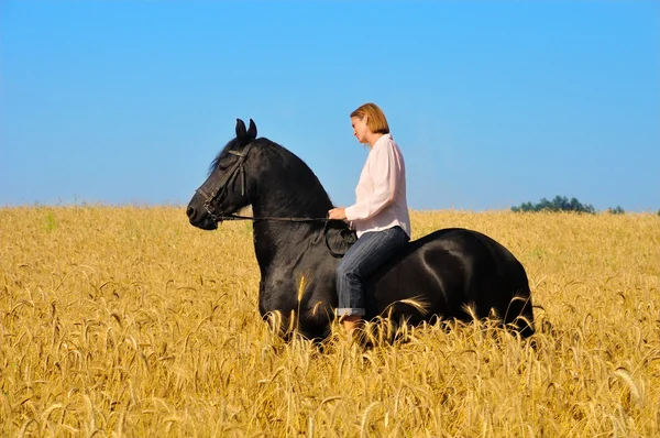 Mulher bonita monta cavalo no campo — Fotografia de Stock