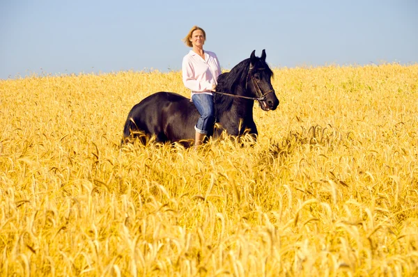 Beautiful woman rides a pretty horse in field — Stock Photo, Image