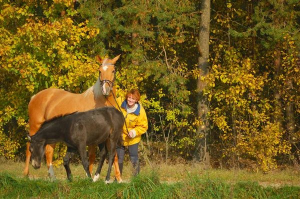 Mulher com égua e potro no passeio matinal — Fotografia de Stock