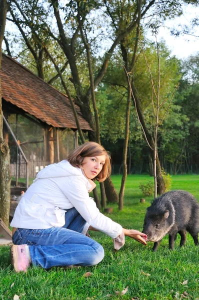 Kız ile evde beslenen hayvan — Stok fotoğraf
