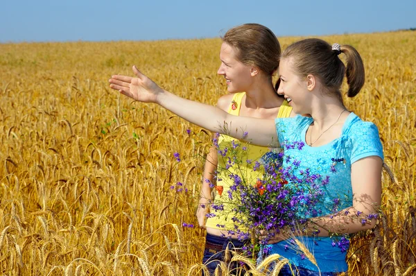 Two pretty girls in an excitement of sight on golden field — Stock Photo, Image