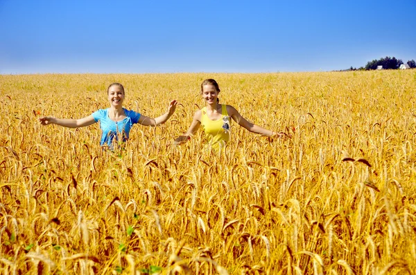Two beautiful girls walk through golden field — Stock Photo, Image
