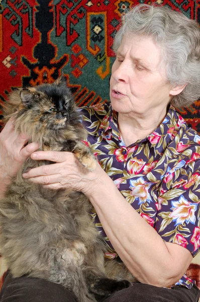 Γιαγιά ενδεικτικών με γατούλα — Φωτογραφία Αρχείου