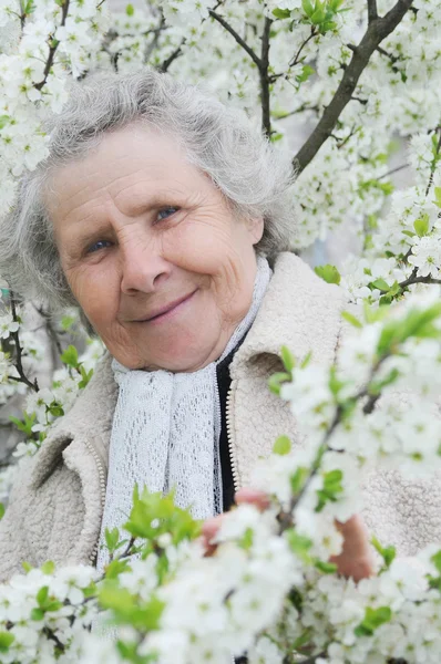 Granny on background of white flowers — Stock Photo, Image