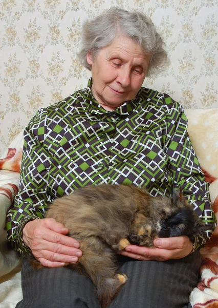 Babička seděla s kočkou na ruce — Stock fotografie