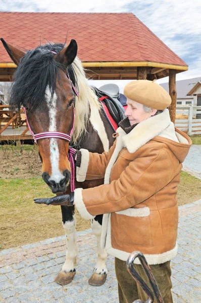 Ältere Frau füttert Pferd — Stockfoto
