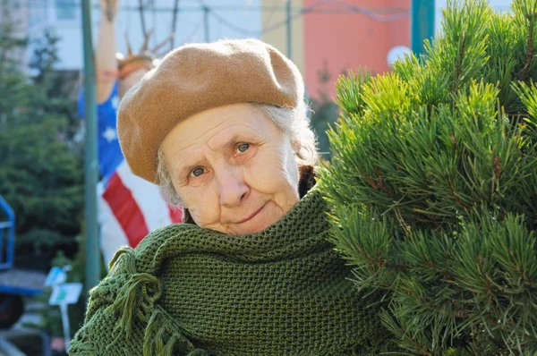 Porträt hübsche Großmutter — Stockfoto