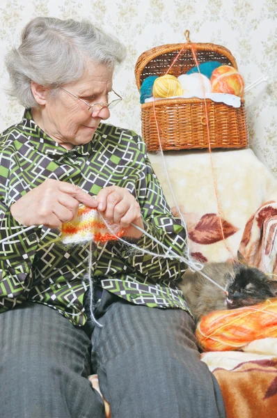 Katten ligger nära mormor — Stockfoto
