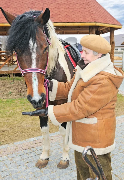 Mulher idosa alimenta cavalo — Fotografia de Stock