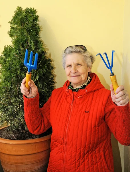 Весела бабуся з сонцезахисними окулярами вирощує кущ — стокове фото