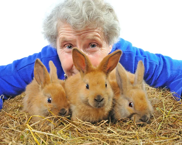 Yaşlı kadının yanına tavşan — Stok fotoğraf