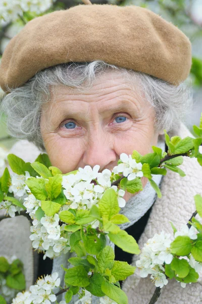 Granny smells white flowers — Stock Photo, Image