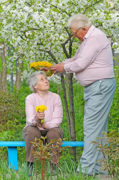 Felice vecchia coppia su uno sfondo di giardino fiorito con d — Foto Stock