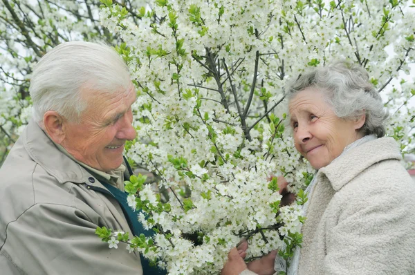 Senior couple play hide-and-seek among flowering garden — Stock Photo, Image