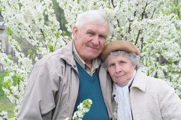 Feliz pareja de edad contra un fondo de jardín floreciente —  Fotos de Stock