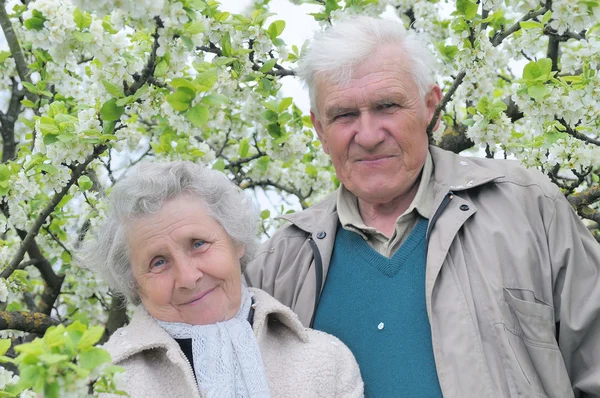 Счастливые бабушка и дедушка на фоне цветущего сада — стоковое фото